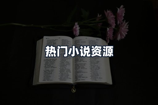 热门小说资源