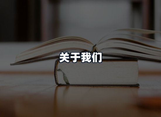 关于我们